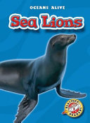 Sea Lions cover