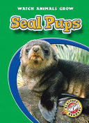 Seal Pups cover