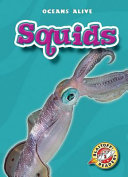 Squids cover