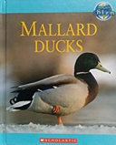 Mallard Ducks (Second Series) cover
