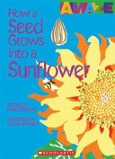 How a Seed Grows into a Sunflower cover