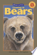 Looking at Bears cover