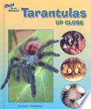 Tarantulas up Close cover