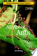 All About Ants cover
