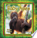 Baby Apes cover