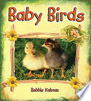 Baby Birds cover