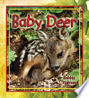 Baby Deer cover