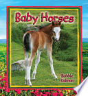 Baby Horses cover