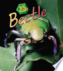 Beetle (2nd Edition) cover