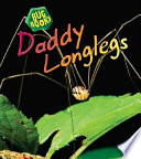 Daddy Longlegs (2nd Edition) cover