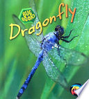 Dragonfly (2nd Edition) cover