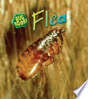 Flea (2nd Edition) cover
