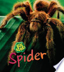 Spider (2nd Edition) cover