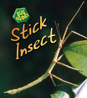 Stick Insect (2nd Edition) cover