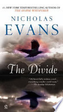 The Divide cover