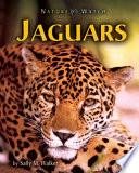 Jaguars cover