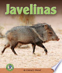 Javelinas cover