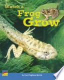 Frog Life Cycle cover