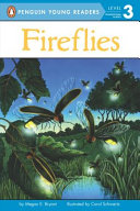 Fireflies cover