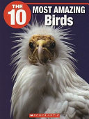 The 10 Most Amazing Birds cover