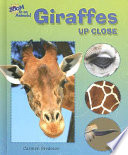 Giraffes up Close cover
