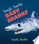 Tough, Toothy Baby Sharks cover