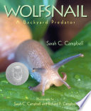 Wolfsnail: A Backyard Predator cover
