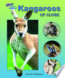 Kangaroos up Close cover