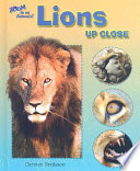 Lions up Close cover