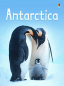 Antarctica/Polar Animals cover
