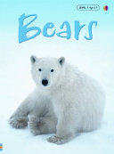 Bears cover