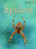 Spiders cover