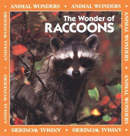 The Wonder of Raccoons cover