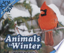 Animals in Winter cover