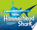 Hammerhead Shark cover