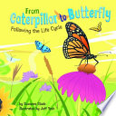 From Caterpillar to Butterfly: Following the Life Cycle cover