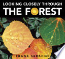 Looking Closely Through the Forest cover