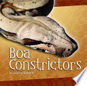 Boa Constrictors cover