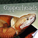 Copperheads cover