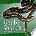 Garter Snakes cover
