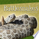 Rattlesnakes cover