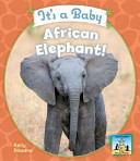 It's a Baby African Elephant! cover