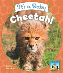 It's a Baby Cheetah! cover