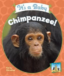 It's a Baby Chimpanzee! cover