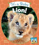 It's a Baby Lion! cover