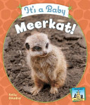 It's a Baby Meerkat! cover