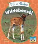 It's a Baby Wildebeest! cover