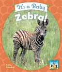 It's a Baby Zebra! cover