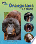 Orangutans up Close cover