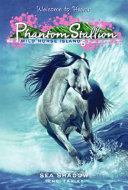 Sea Shadow cover